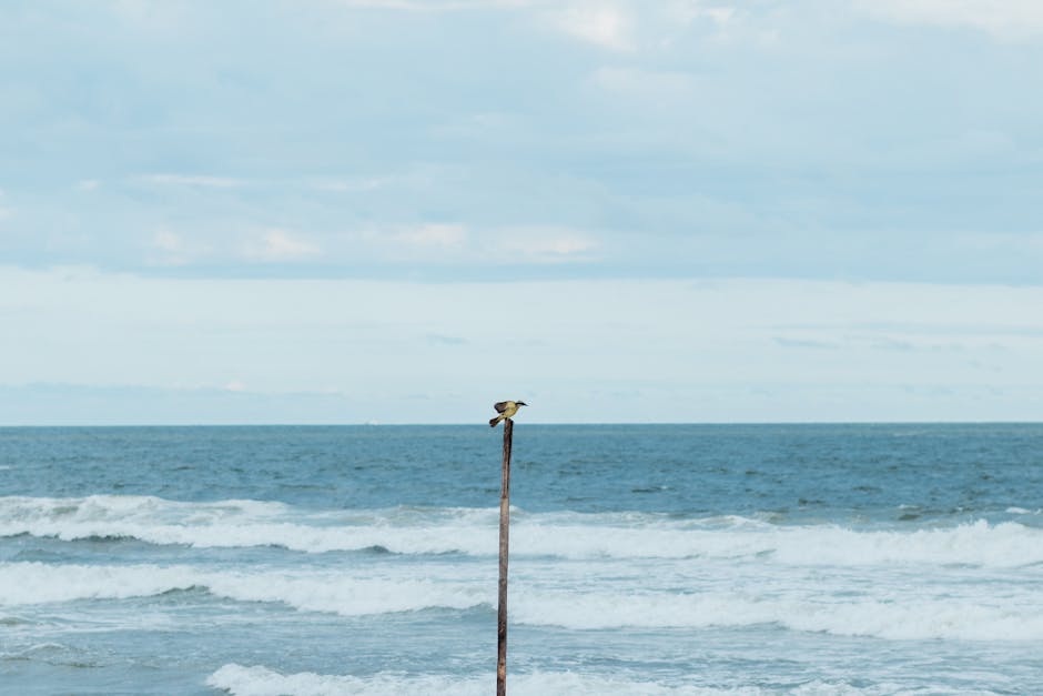 Featured image for Understanding What Is A Good Open Rate For Email Marketing Now